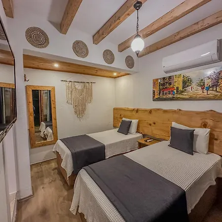 בית אירוח Misafir Evi פאראליה