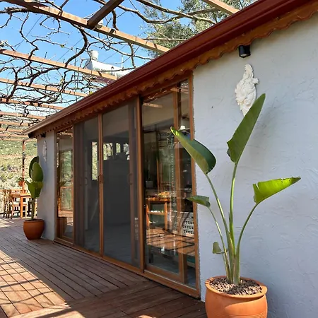 Misafir Evi * פאראליה