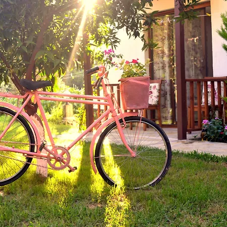 בית אירוח Misafir Evi פאראליה