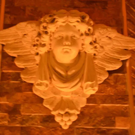 בית אירוח Misafir Evi