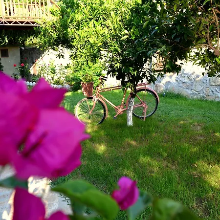 Misafir Evi * פאראליה