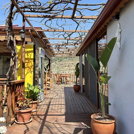 בית אירוח Misafir Evi פאראליה