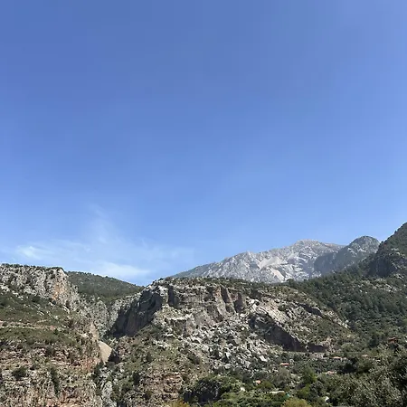 בית אירוח Misafir Evi פאראליה