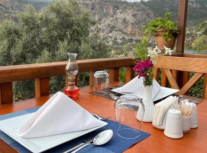 Проживание в семье Misafir Evi *