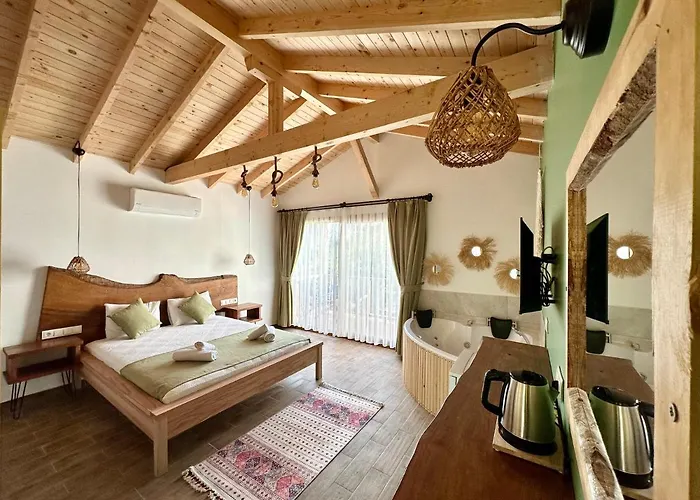 Проживание в семье Misafir Evi *