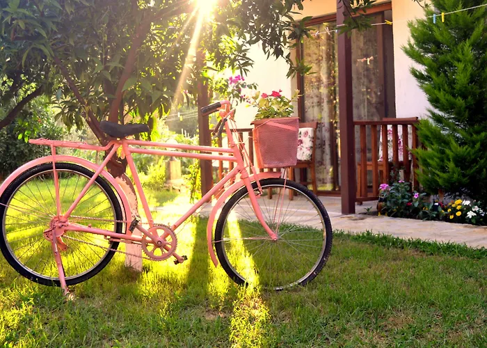 Проживание в семье Misafir Evi Фаралия