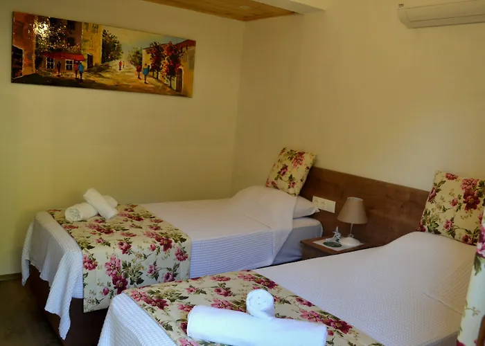 Misafir Evi * Фаралия