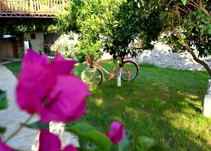 Misafir Evi * Фаралия