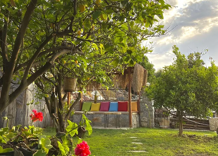 Misafir Evi Фаралия