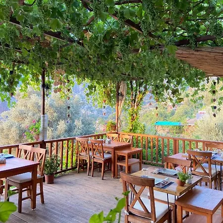 בית אירוח Misafir Evi *