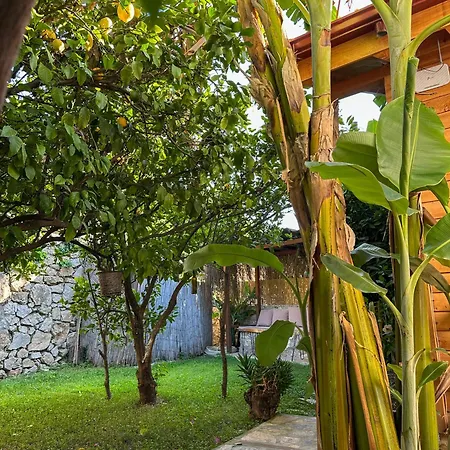 Misafir Evi *