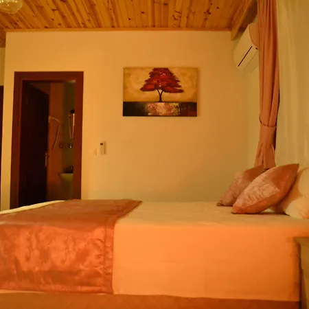 Gazde/Camere de închiriat Misafir Evi *