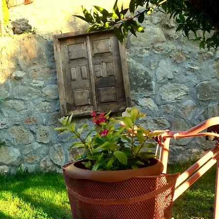 منزل للإقامة Misafir Evi *