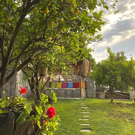 Misafir Evi فاراليا