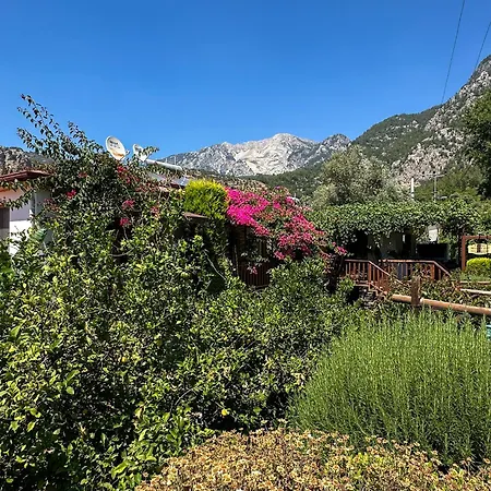 منزل للإقامة Misafir Evi *