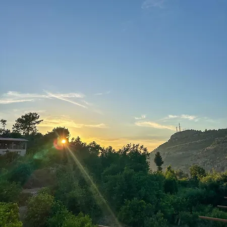 Misafir Evi בית אירוח פאראליה