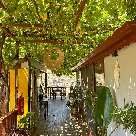Misafir Evi منزل للإقامة فاراليا