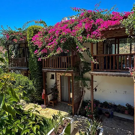 منزل للإقامة Misafir Evi *