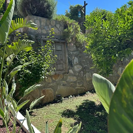 Misafir Evi منزل للإقامة فاراليا