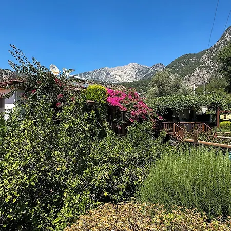 Misafir Evi *