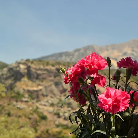 Misafir Evi منزل للإقامة *