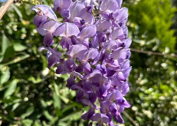 Ubytování v soukromí Misafir Evi Faralya