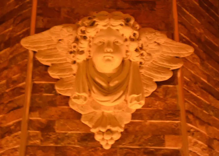 Pansiyon Misafir Evi