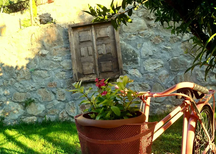 Pansiyon Misafir Evi *